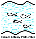 Thames Estuary Partnership